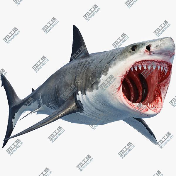 images/goods_img/20210312/3D Great Shark White/1.jpg